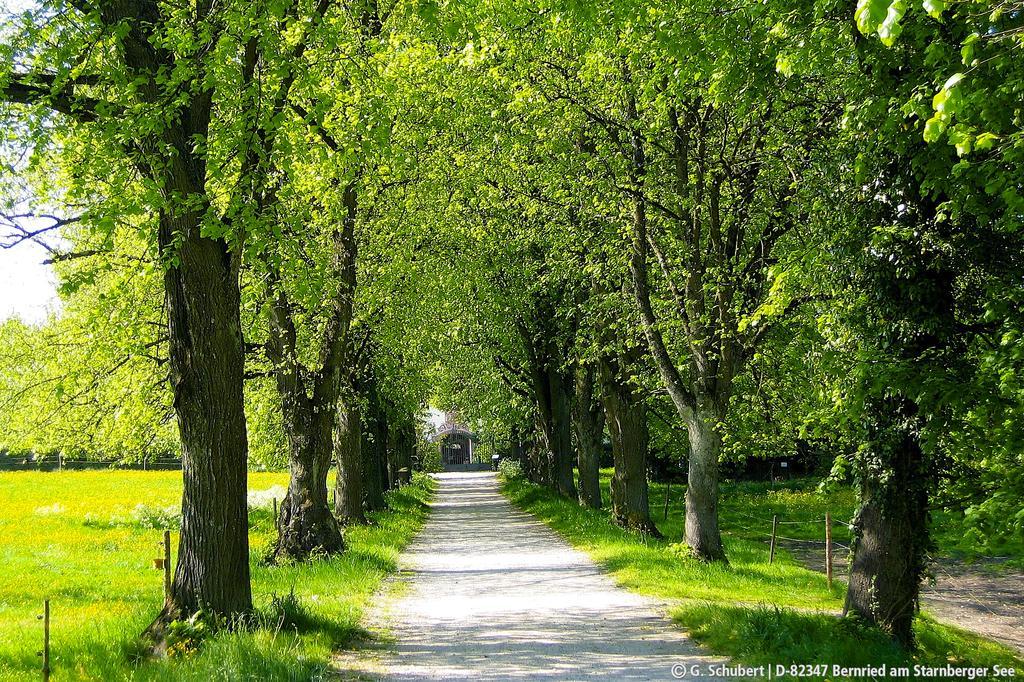 Bernried am Starnberger See Landgasthof Drei Rosen מראה חיצוני תמונה
